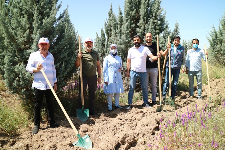 Öz Ağaç-İş Ailesi, Daha Yeşil Bir Türkiye İçin Fidanları Toprakla Buluşturdu