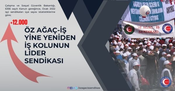 Öz Ağaç-İş 2022 Ocak İstatistiklerinde de Yine Yeniden İş Kolunun Lider Sendikası
