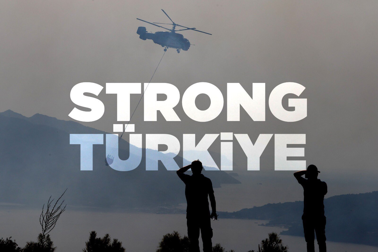 Yanan Ormanlarımızı Her Bir üyemiz Adına 5'er Fidan Yani 56.585 Fidan ile Yeniden Yeşerteceğiz